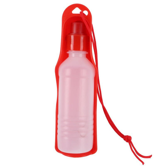 Transer Dog Supplies Automatic Feeders Pet Water Bottle