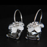 Korean Earrings Exaggerated Atmosphere Trend Temperament Fashion Ear Jewelry Crystal Cherry Earrings Earrings For Women